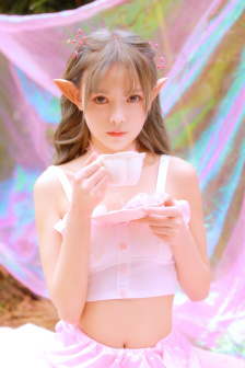 双截龙